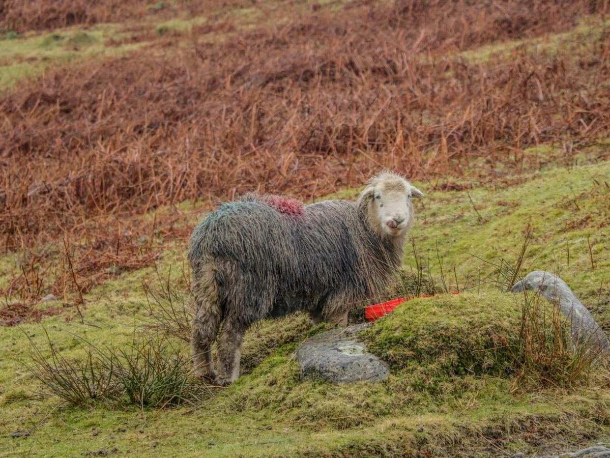 Swaledale Watch Garden Annexe Villa Wigton Luaran gambar